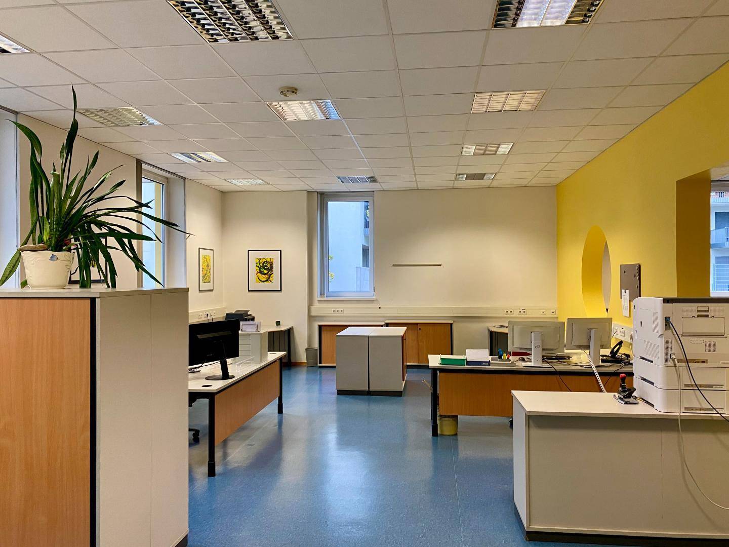 Helles Büro mit gelber Akzentwand, mehreren Schreibtischen und blauen Bodenbelägen.