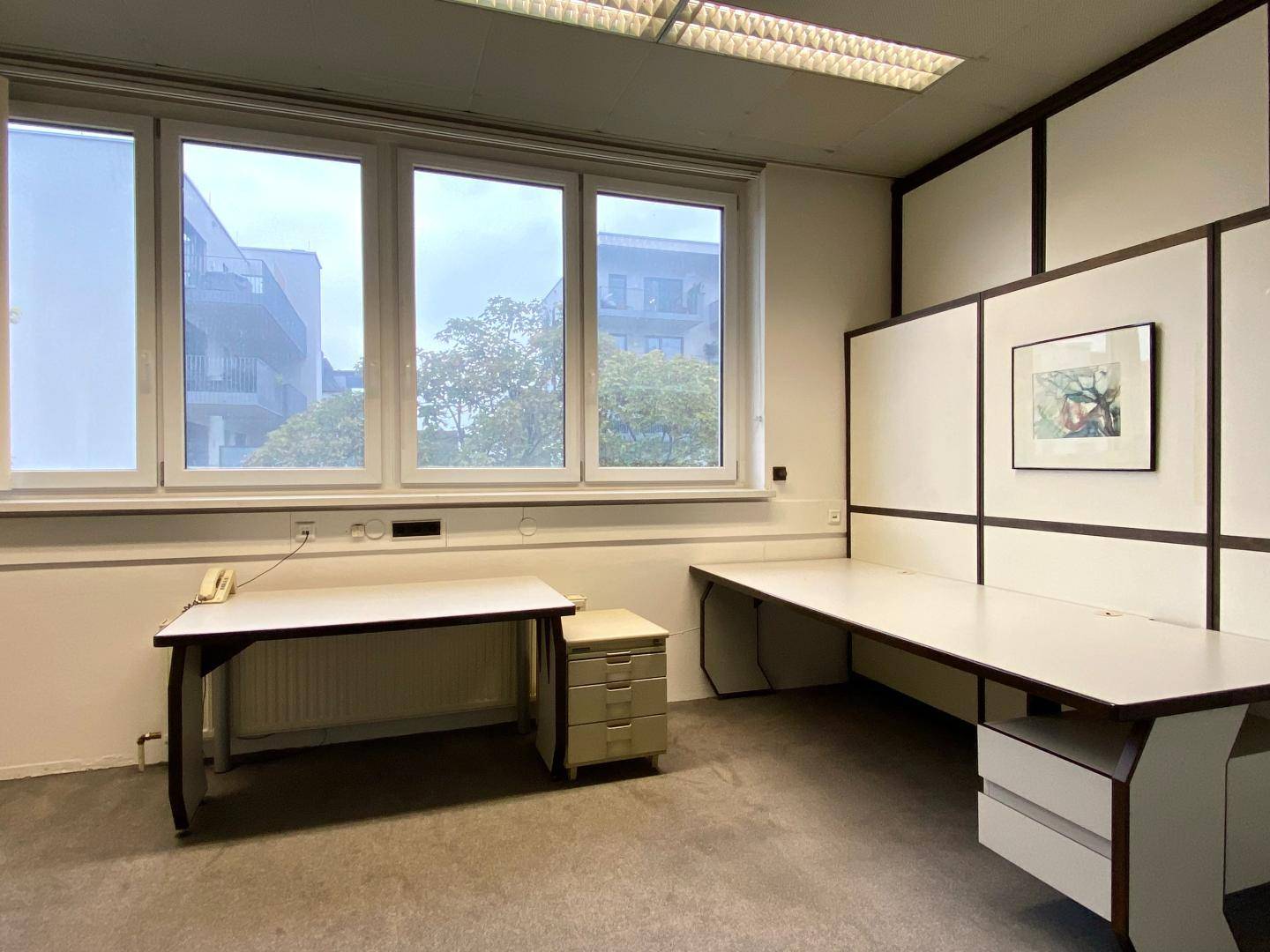 Büro mit zwei Schreibtischen, einem Aktenschrank und einem großen Fenster mit Blick auf Bäume.