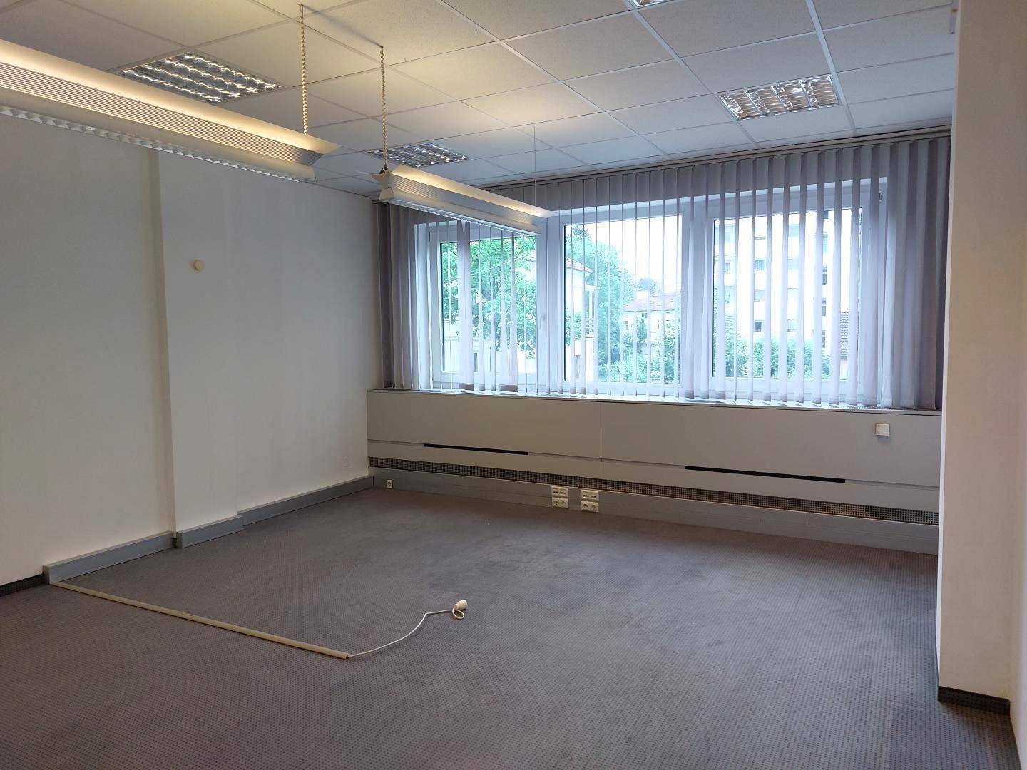 Großer, heller Büroraum mit Teppichboden und breiten Fenstern, die eine angenehme Arbeitsatmosphäre schaffen.