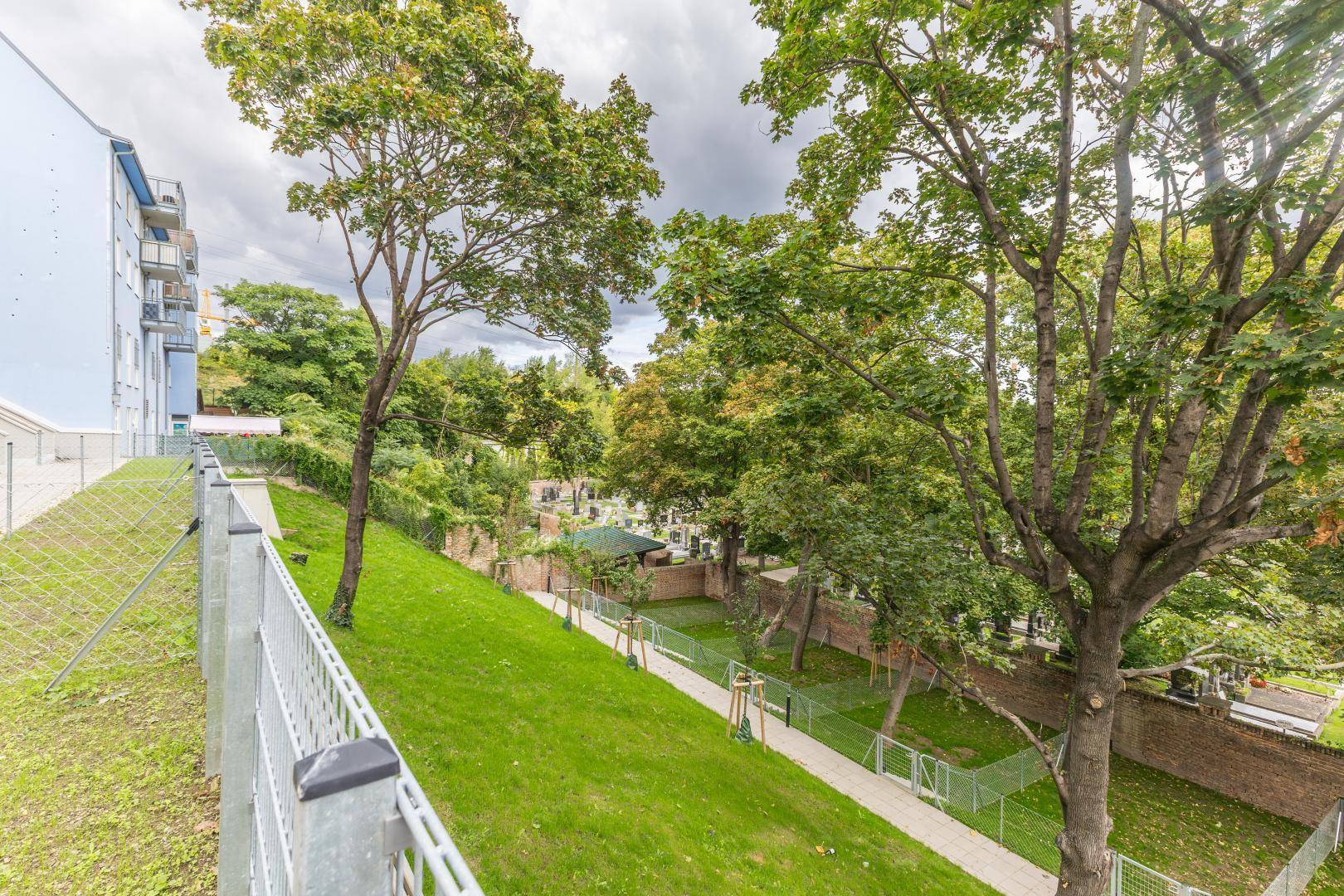 Grüne Außenanlage mit Bäumen und Wegen, die als Gemeinschaftsgarten oder Park dient.