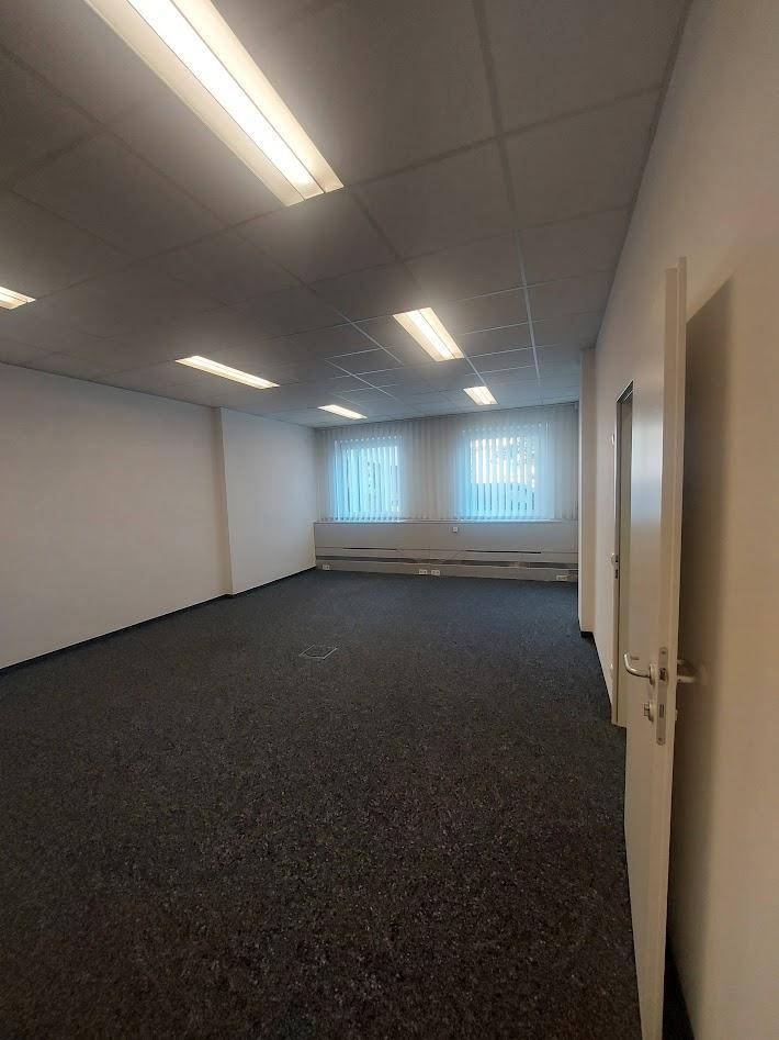 Geräumiger, leerer Büroraum mit dunklem Teppichboden, weißen Wänden und hellen Fenstern.