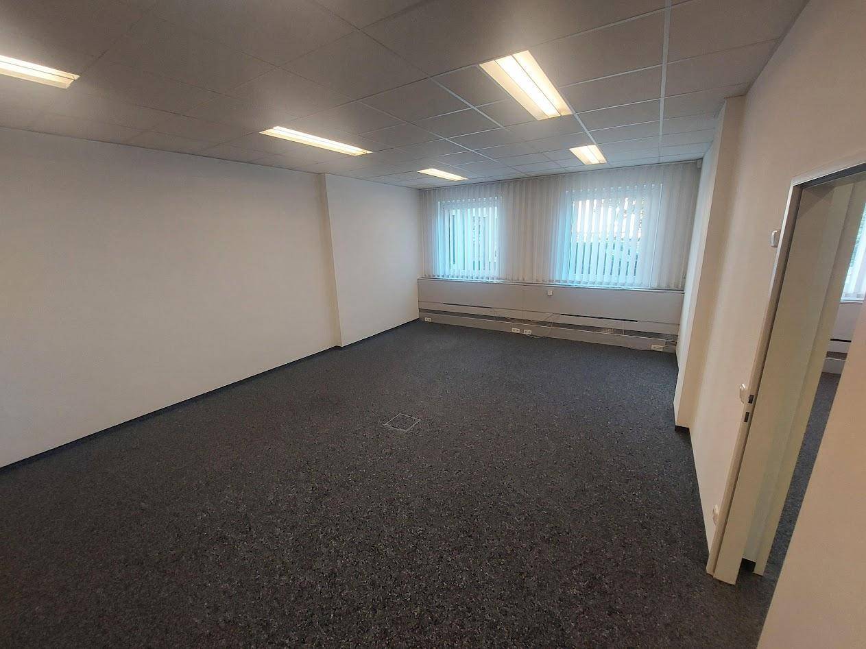 Leerer Büroraum mit dunklem Teppichboden, weißen Wänden und zwei Fenstern mit Jalousien.