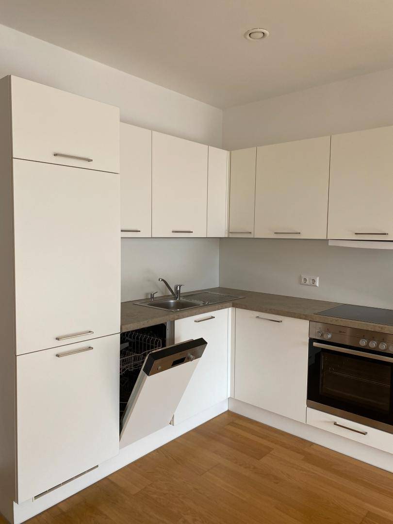 Detailansicht der modernen weißen Einbauküche mit integriertem Geschirrspüler und Backofen.