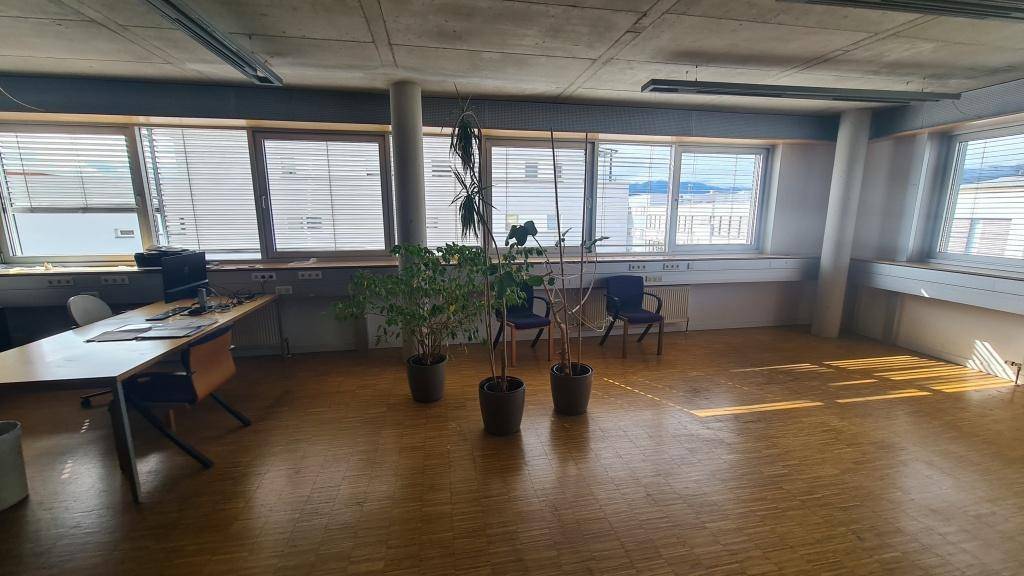 Großer Büroraum mit Holzparkettboden, einer langen Fensterfront und einem Schreibtisch, der von Tageslicht durchflutet wird.