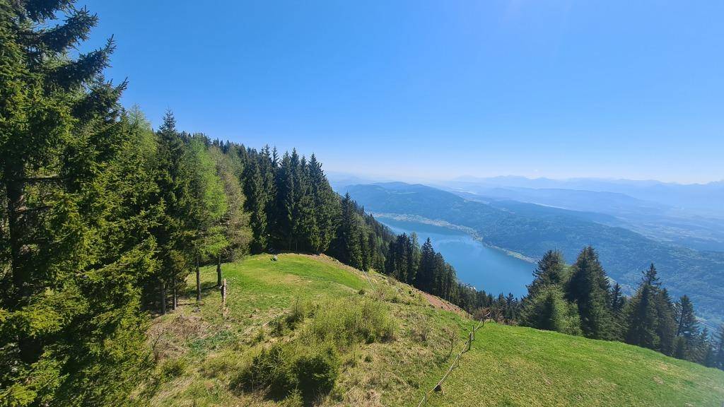 Ausblick