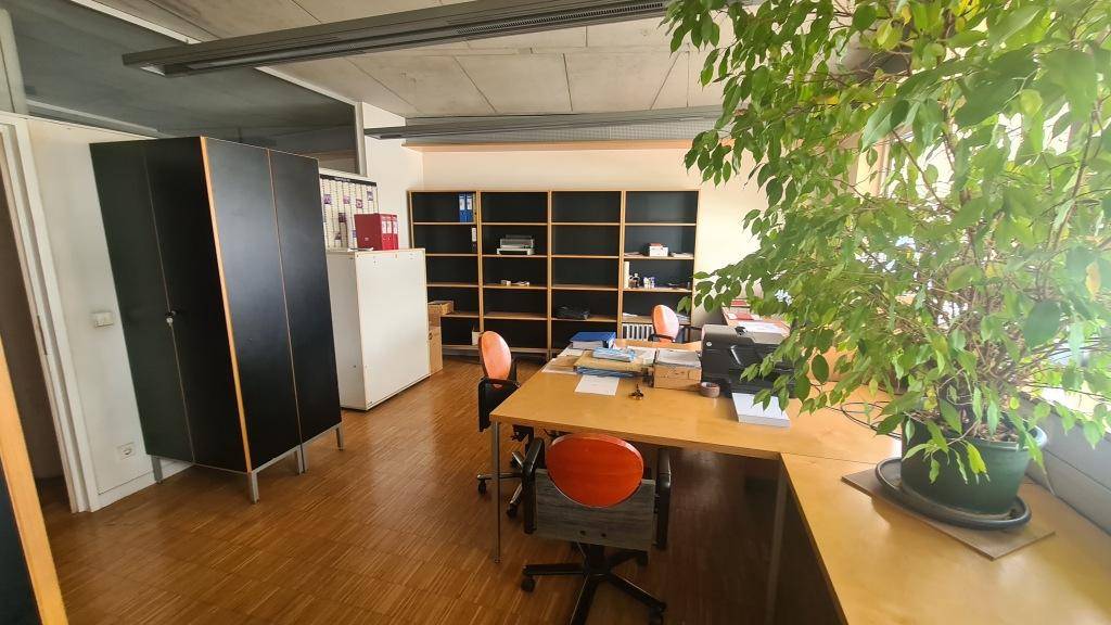 Großes Büro mit Holzparkettboden, schwarzen Regalen und einem Schreibtisch, der von natürlichem Licht durchflutet wird.