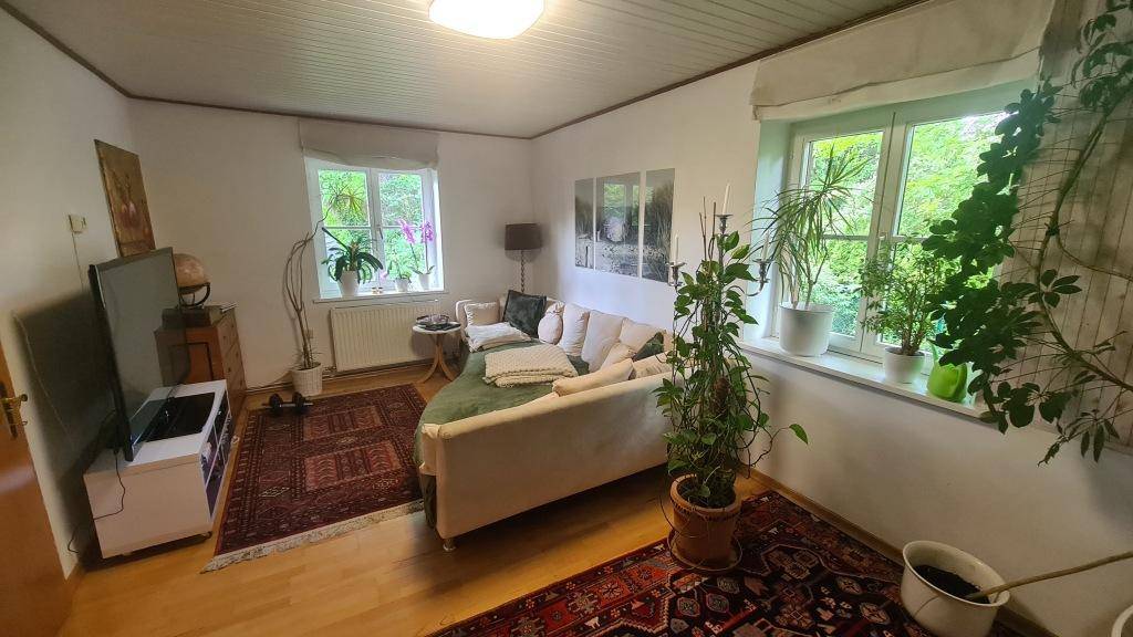 Gemütliches Wohnzimmer mit Holzboden, Sofa und vielen Pflanzen am Fenster.