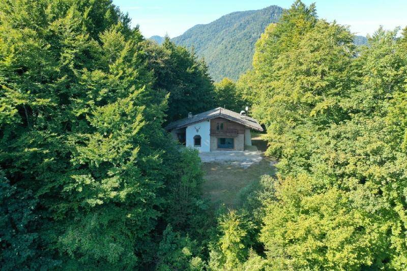 Haus eingebettet in dichte Wälder mit Bergblick in der Ferne, aufgenommen aus der Vogelperspektive.