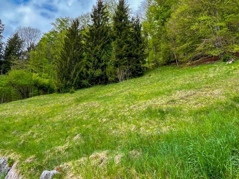 Hanggrundstück in traumhafter Sonnenlage - Ansicht 2