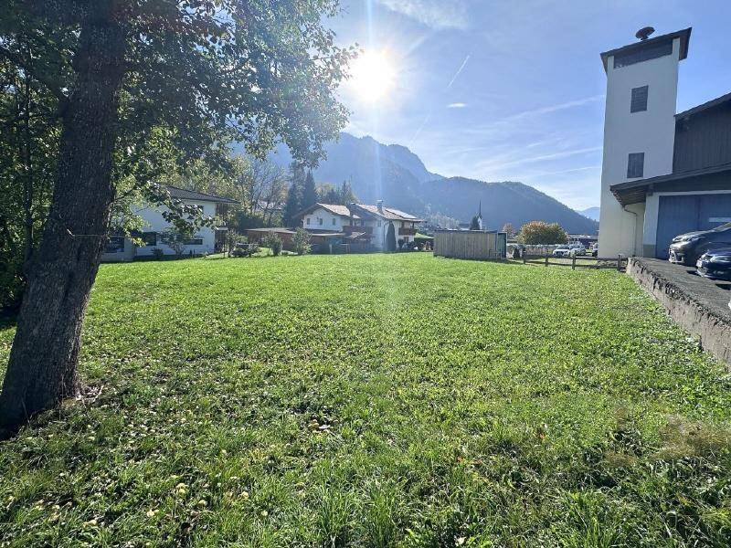 Sonnige Grünfläche mit altem Baum, umgeben von Gebäuden und Bergen im Hintergrund.