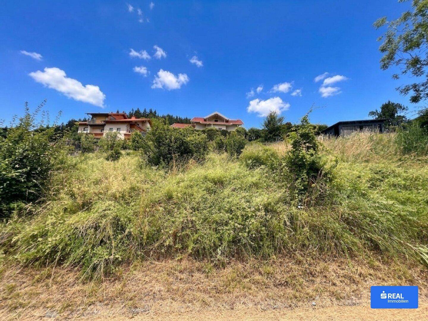 Unbebautes Grundstück mit hohem Gras und Blick auf Wohnhäuser am bewaldeten Hang unter blauem Himmel.
