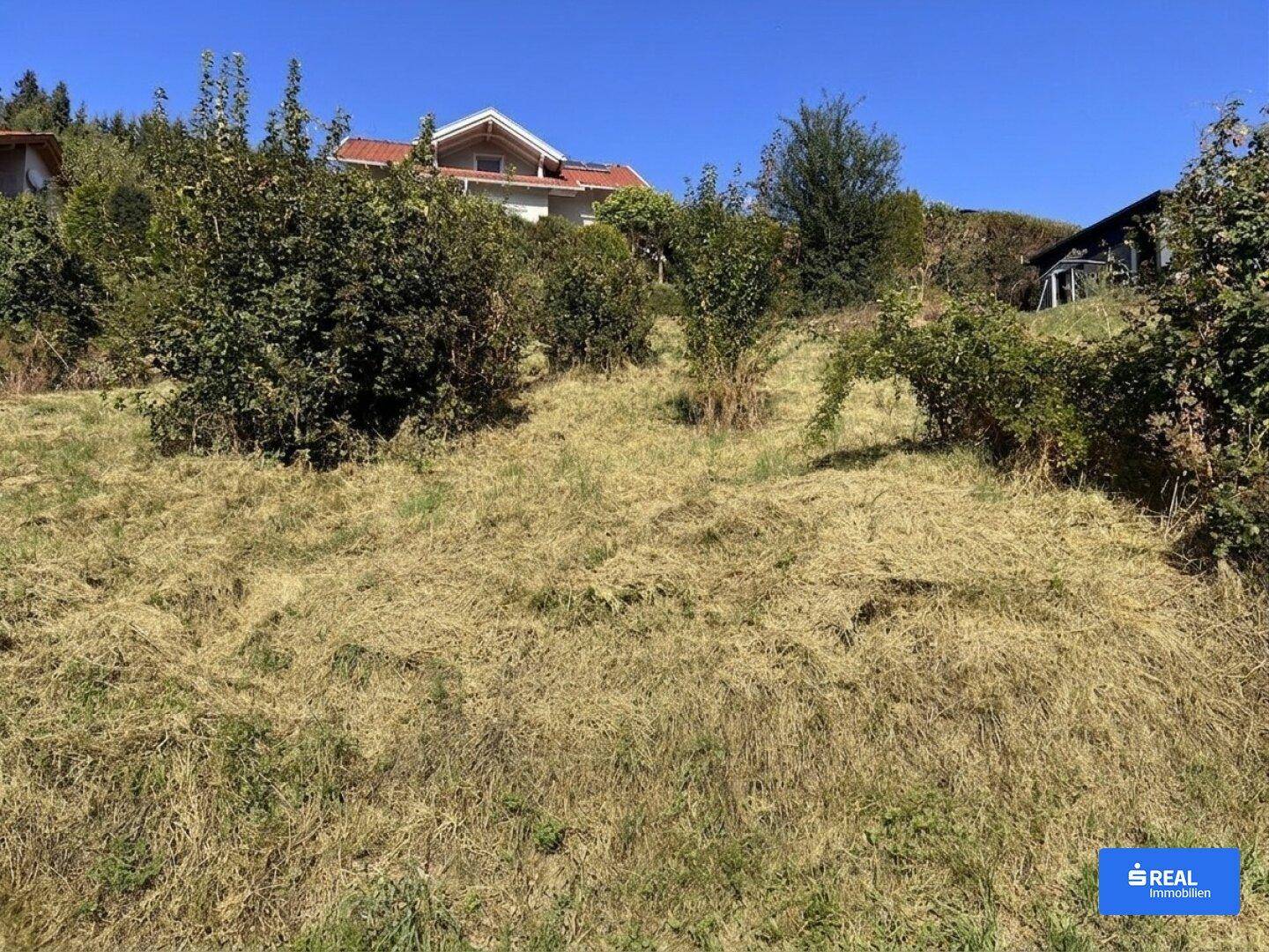 Hügeliges, sonniges Grundstück mit dichter Vegetation und modernen Häusern am Horizont unter blauem Himmel.