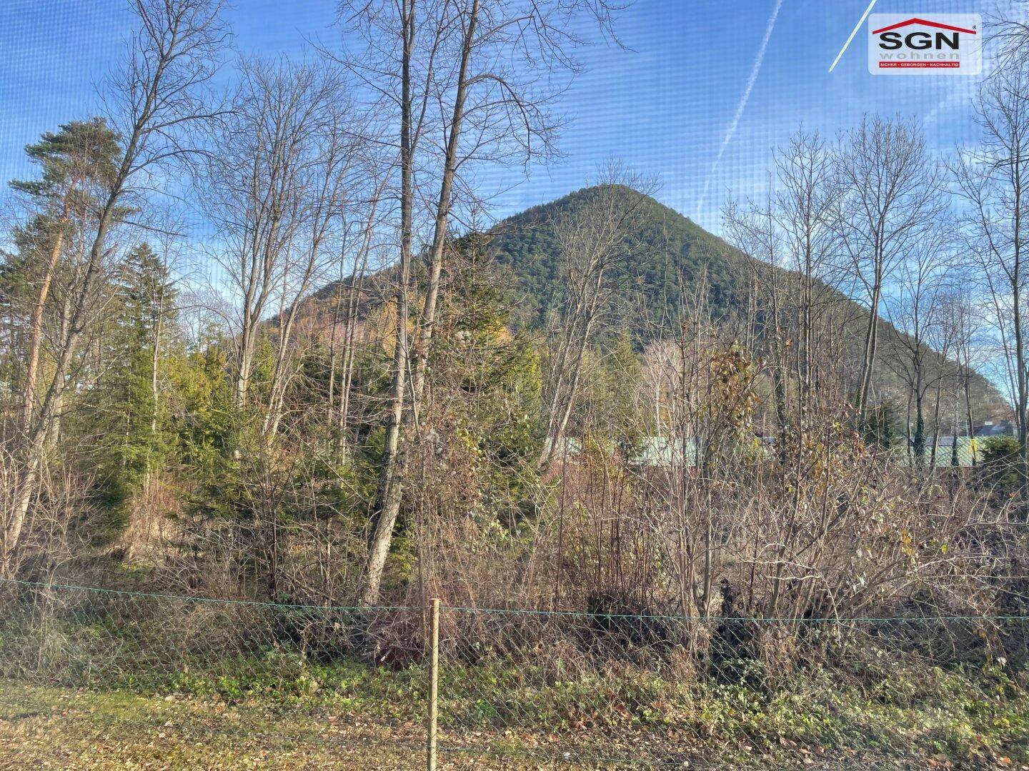 Natürliche Umgebung mit bewaldetem Hügel und Bäumen, die eine ruhige und grüne Aussicht bietet.