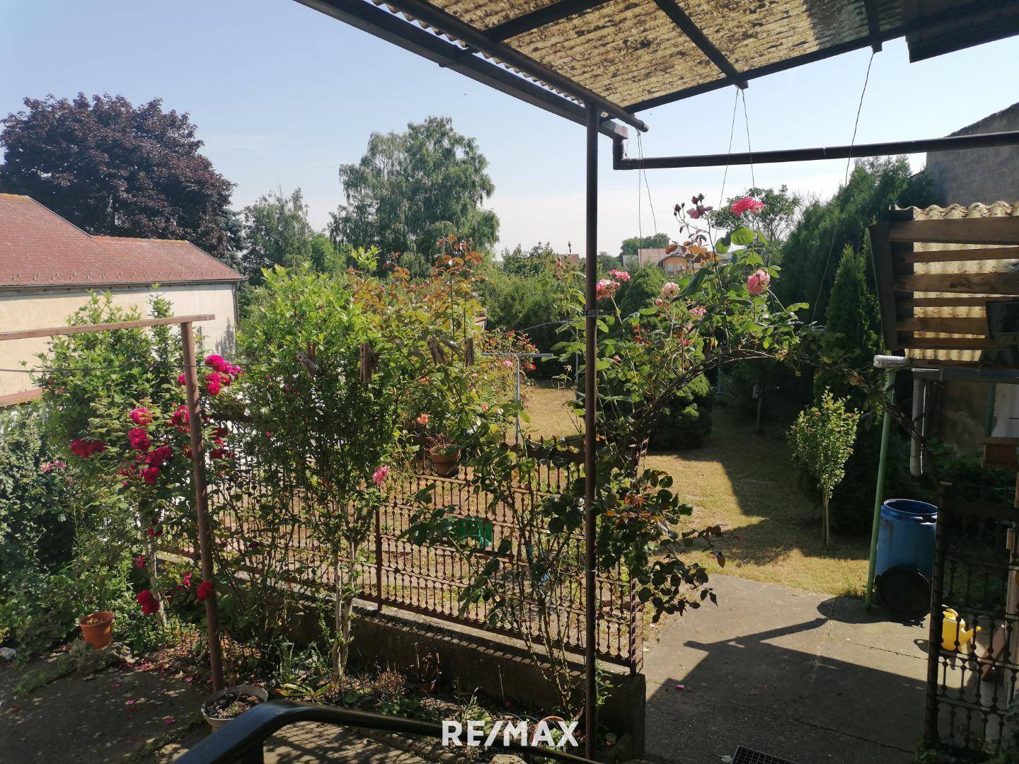 Garten Sommer