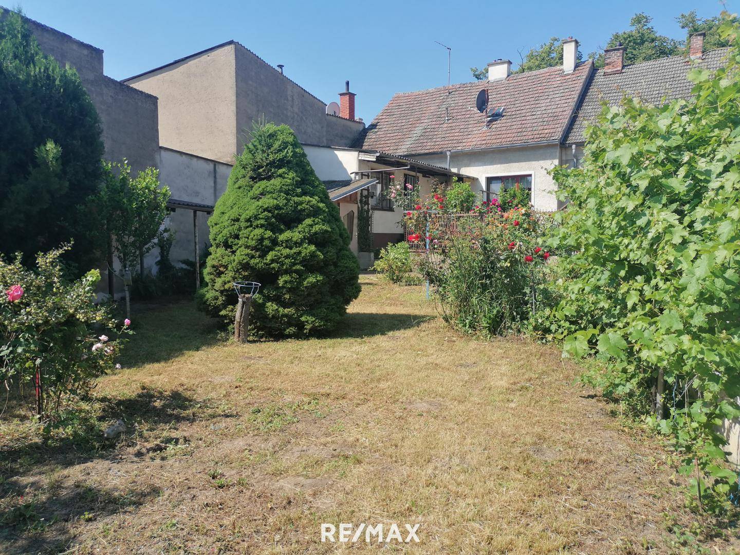 Garten Sommer