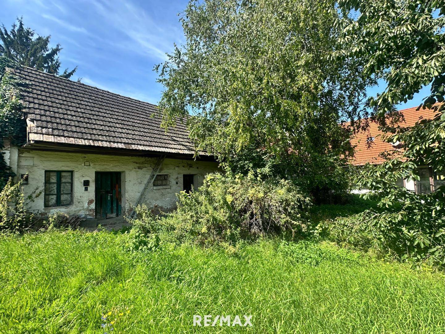 Garten vorne