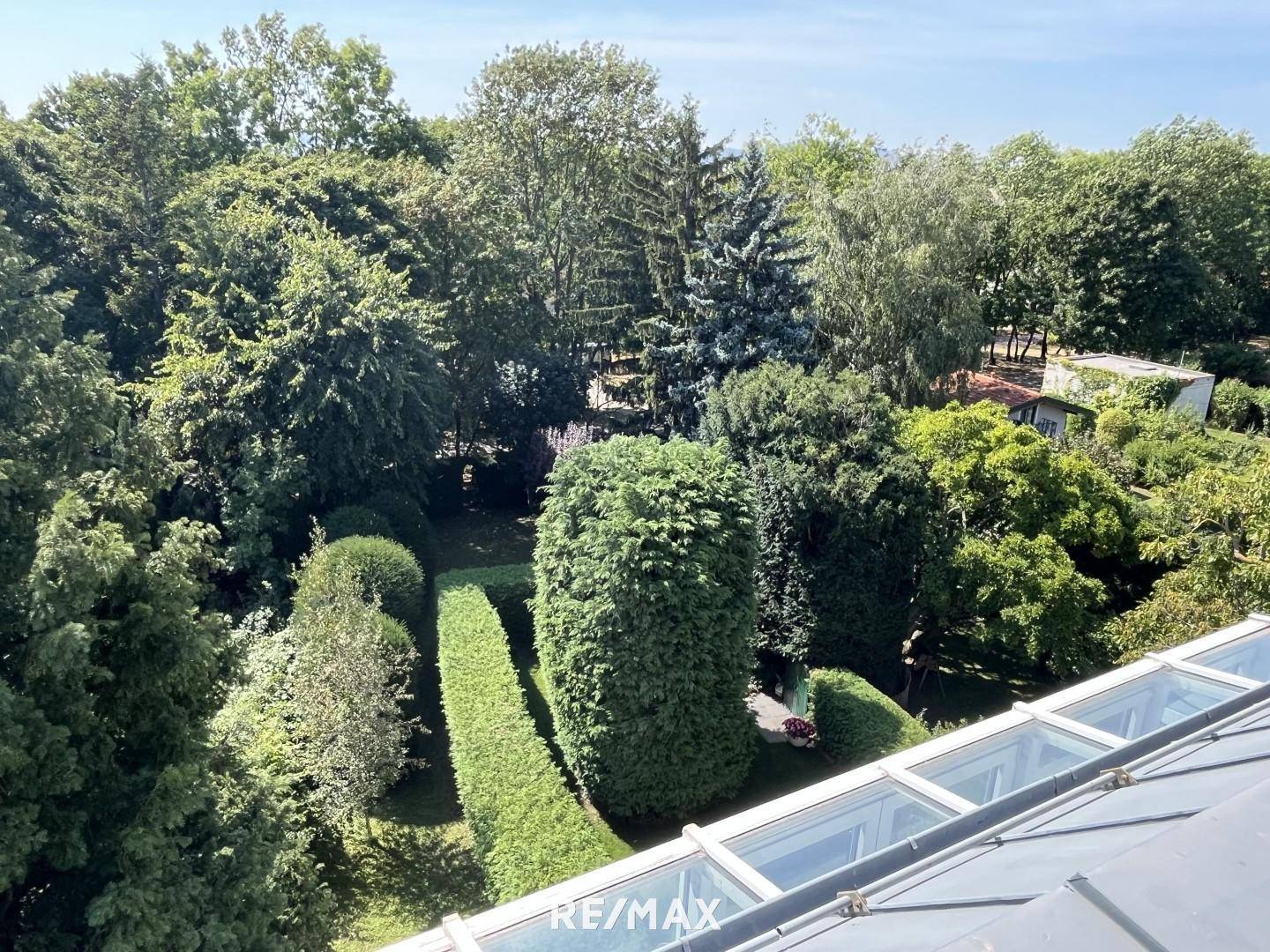Blick in den Garten