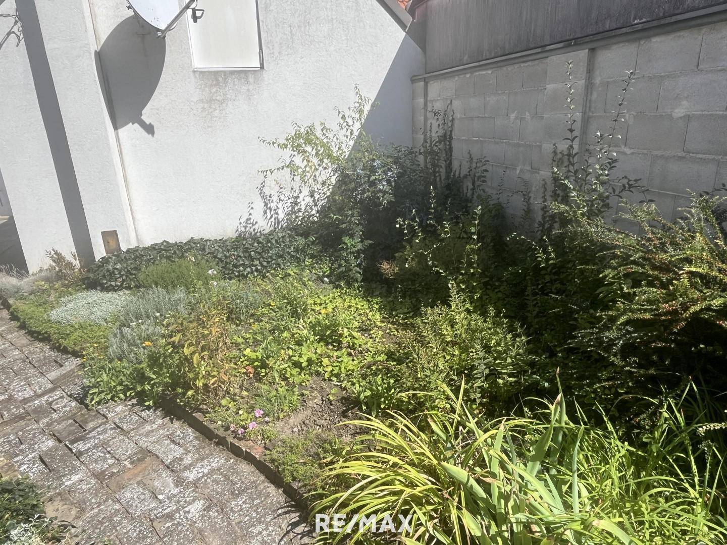 liebevoll gepflegter Garten