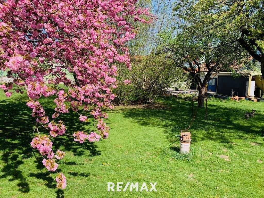 Garten im Frühjahr
