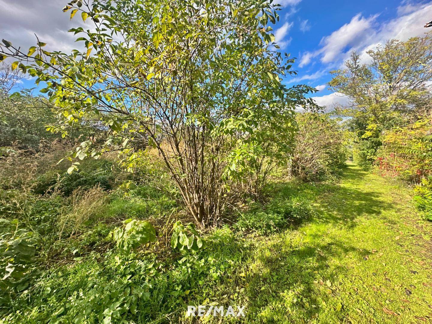 Koppel/Garten
