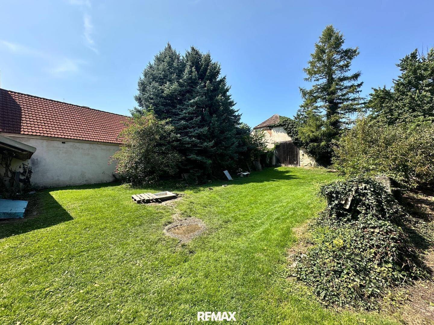 Weitläufiger Garten mit Rasenfläche und hohen Nadelbäumen unter blauem Himmel.