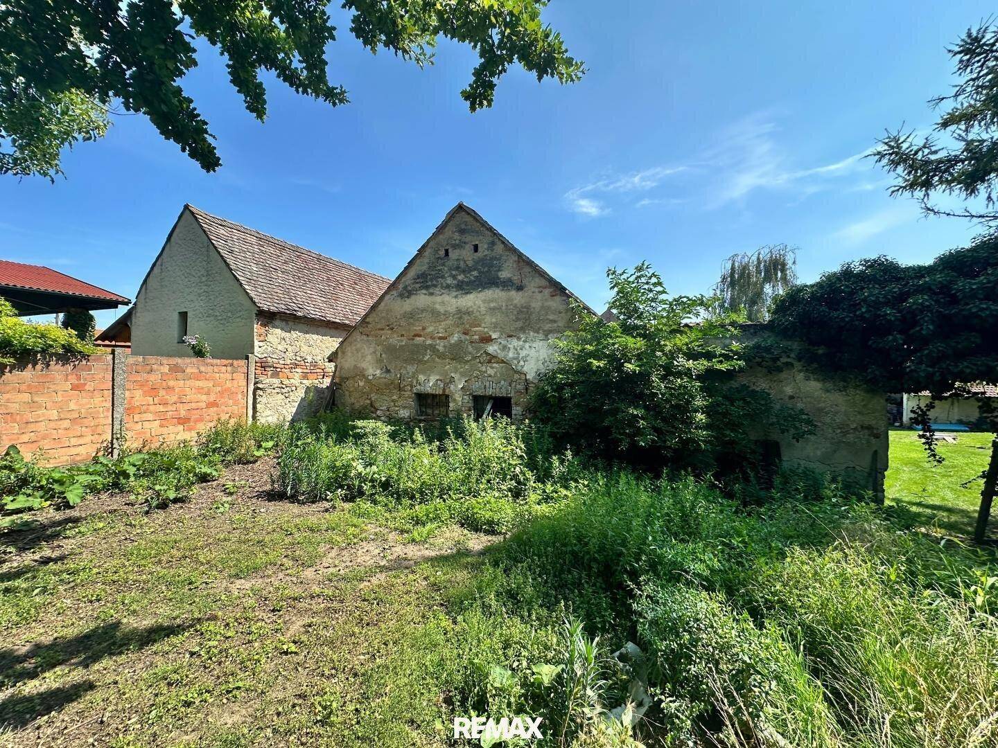 Verwilderter Gartenbereich mit alten Gebäuden und einer Ziegelmauer im Hintergrund.