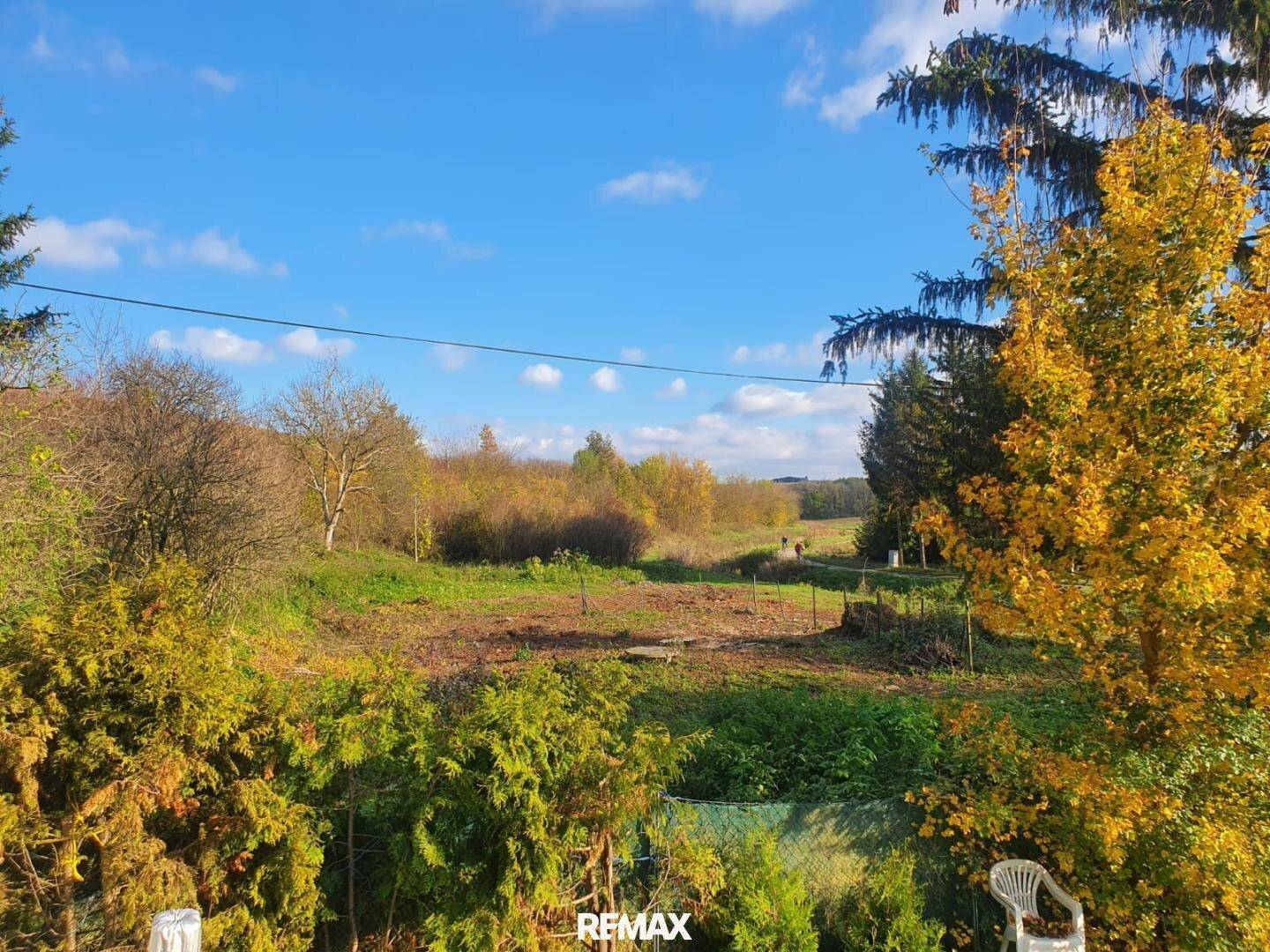 Panoramablick über das grüne Grundstück mit herbstlichen Bäumen und weitem Horizont.