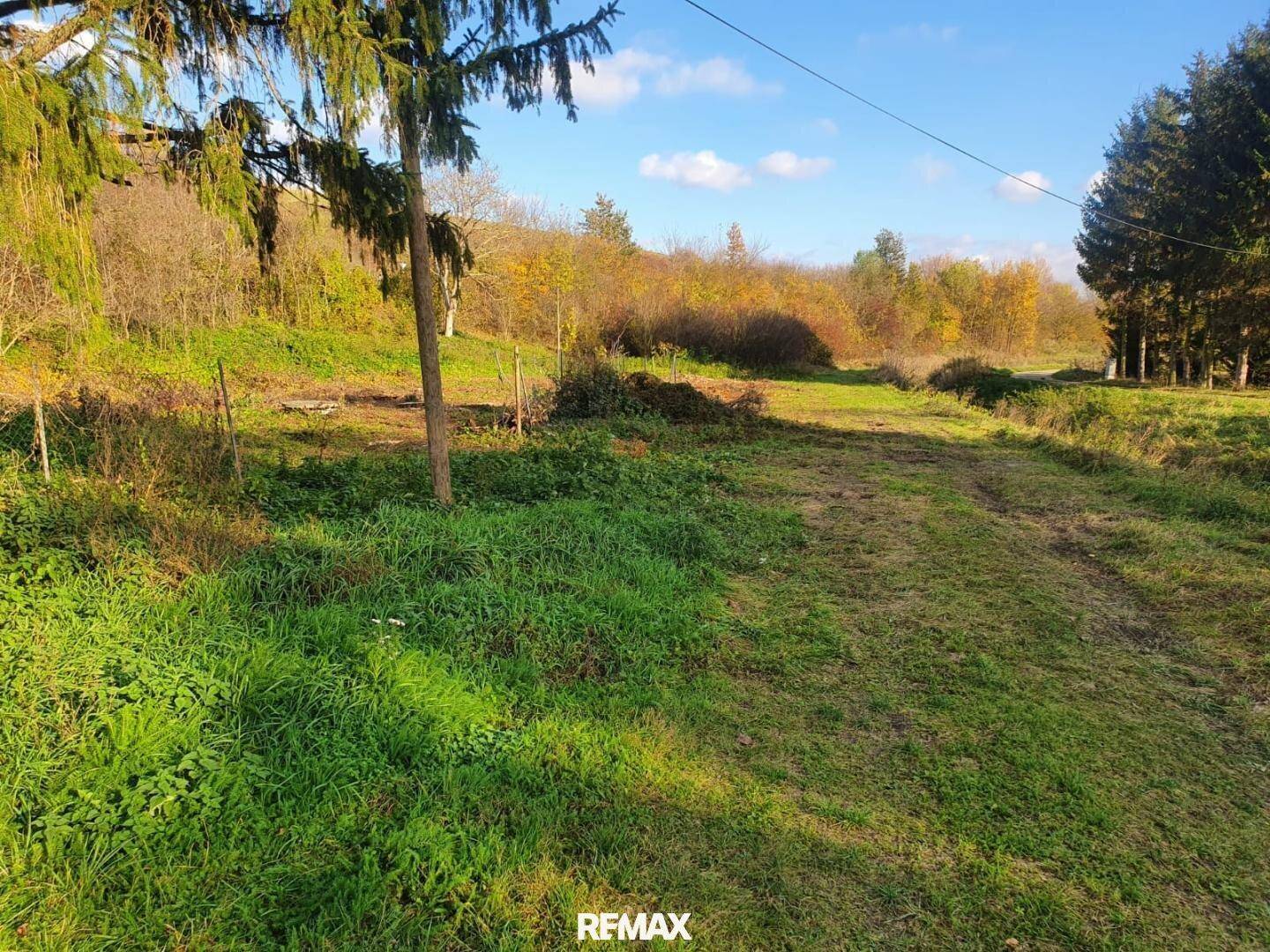 Naturbelassenes Grundstück mit Grasflächen, Bäumen und einem Trampelpfad unter blauem Himmel.