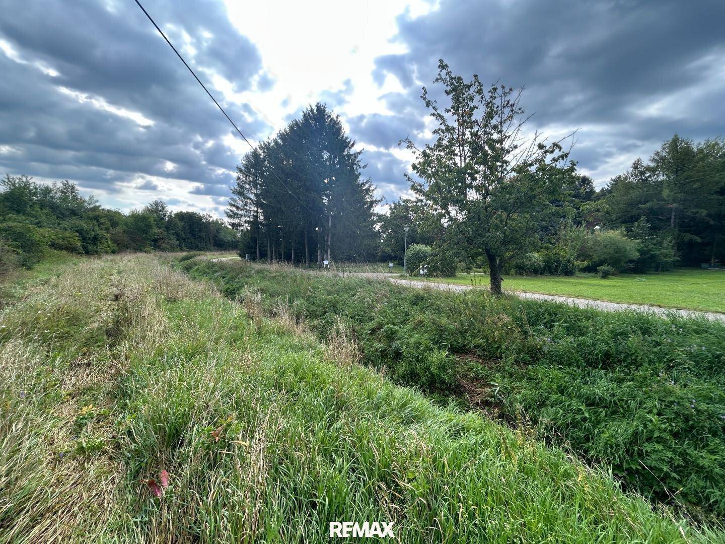 Ländliches Grundstück mit hohem Gras, Bäumen und einem Feldweg unter bewölktem Himmel.