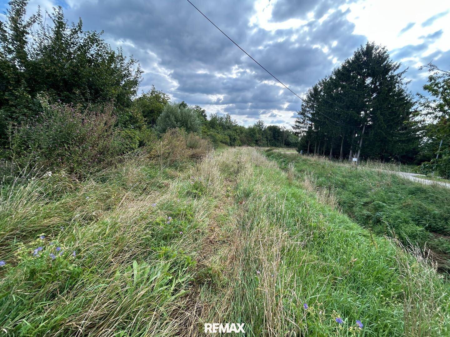 Langes, grasbewachsenes Grundstück unter einem bewölkten Himmel mit Bäumen im Hintergrund.