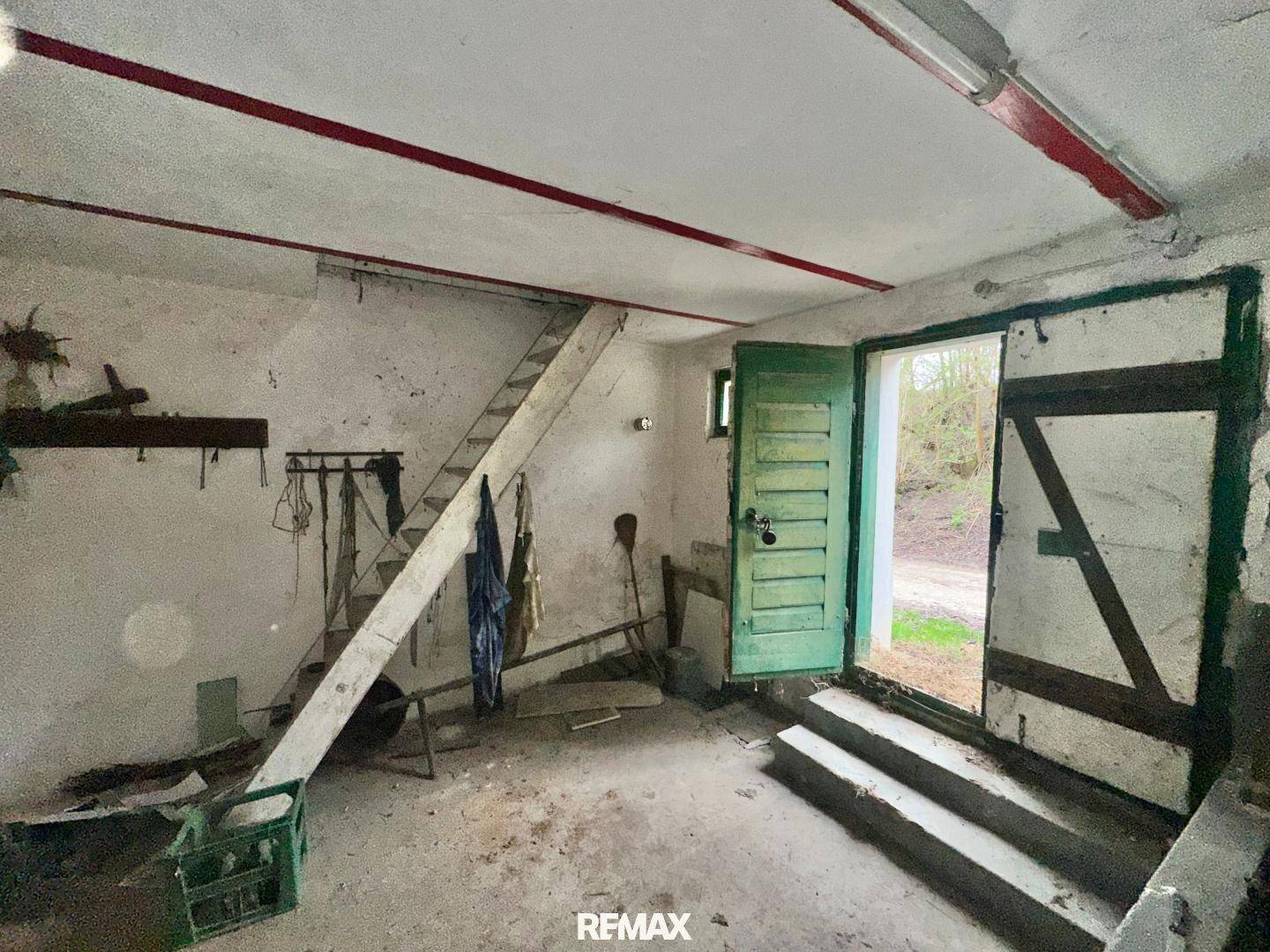 Einfacher Kellerraum mit Holztür und Treppe, die ins Freie führt, mit Tageslicht.