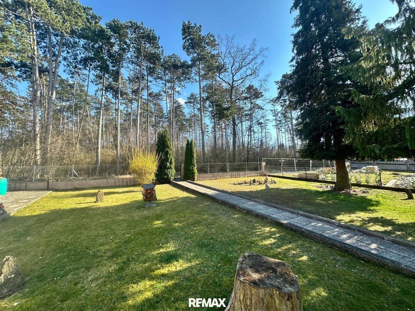 Weitläufiger Garten mit Rasenfläche, Kiesweg und hohen Bäumen, umgeben von Wald.
