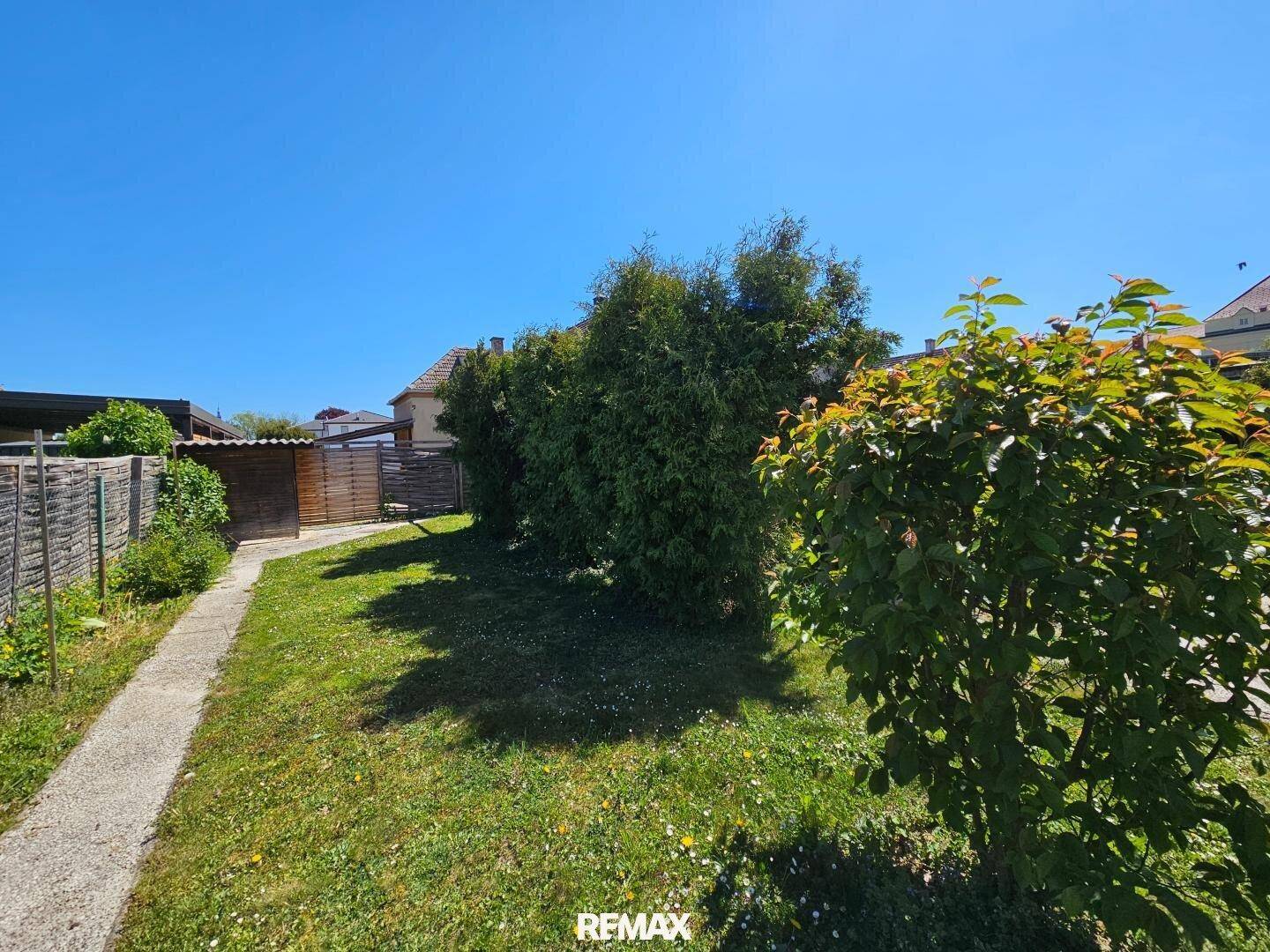 Gartenbereich mit gepflegtem Rasen, dichtem Heckenbewuchs und einem schmalen Weg.