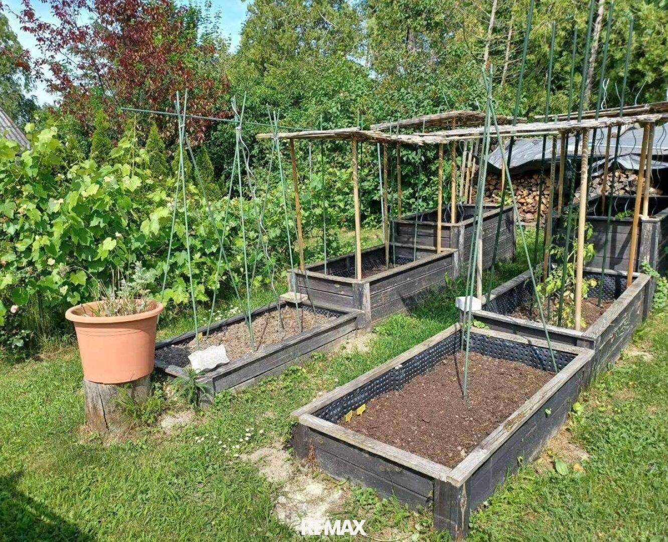 Hochbeete im Garten für den Anbau von Gemüse und Kräutern, umgeben von Grün.