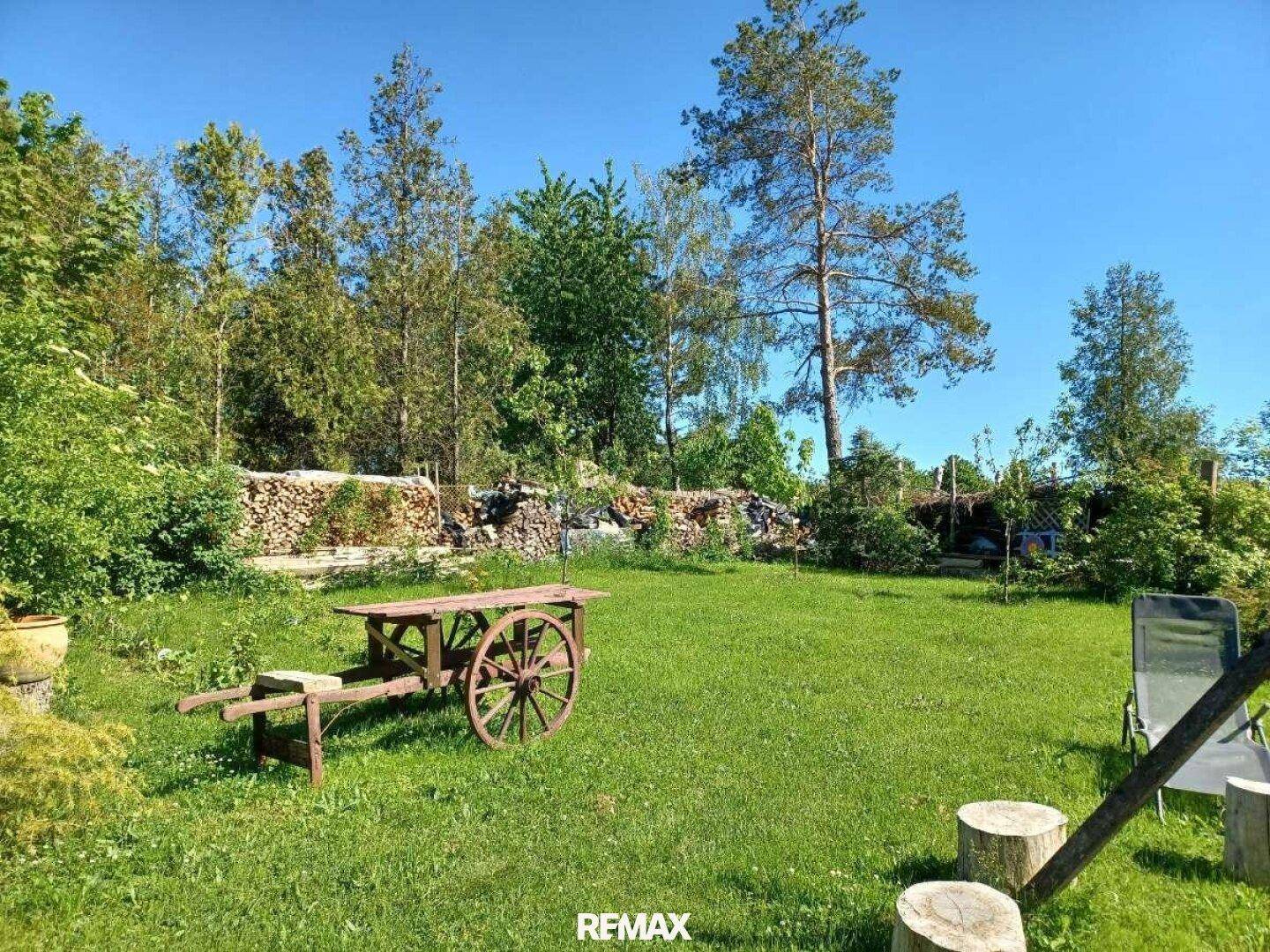 Weitläufiger Garten mit Rasenfläche, altem Holzwagen und umgebenden Bäumen.