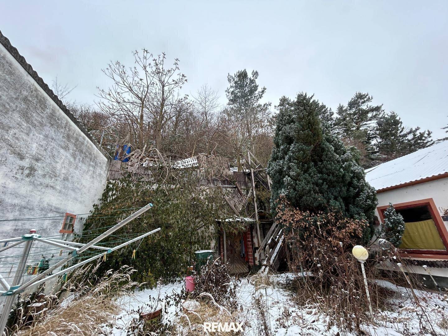 Seitenansicht des Gebäudes mit Wäscheständer, schneebedecktem Garten und dichter Vegetation.