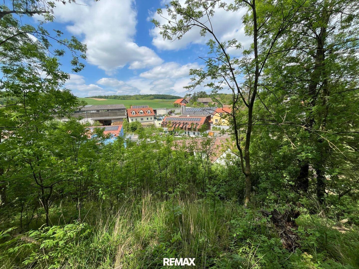 Panoramablick auf eine ländliche Siedlung mit Häusern und grünen Hügeln unter einem bewölkten Himmel.