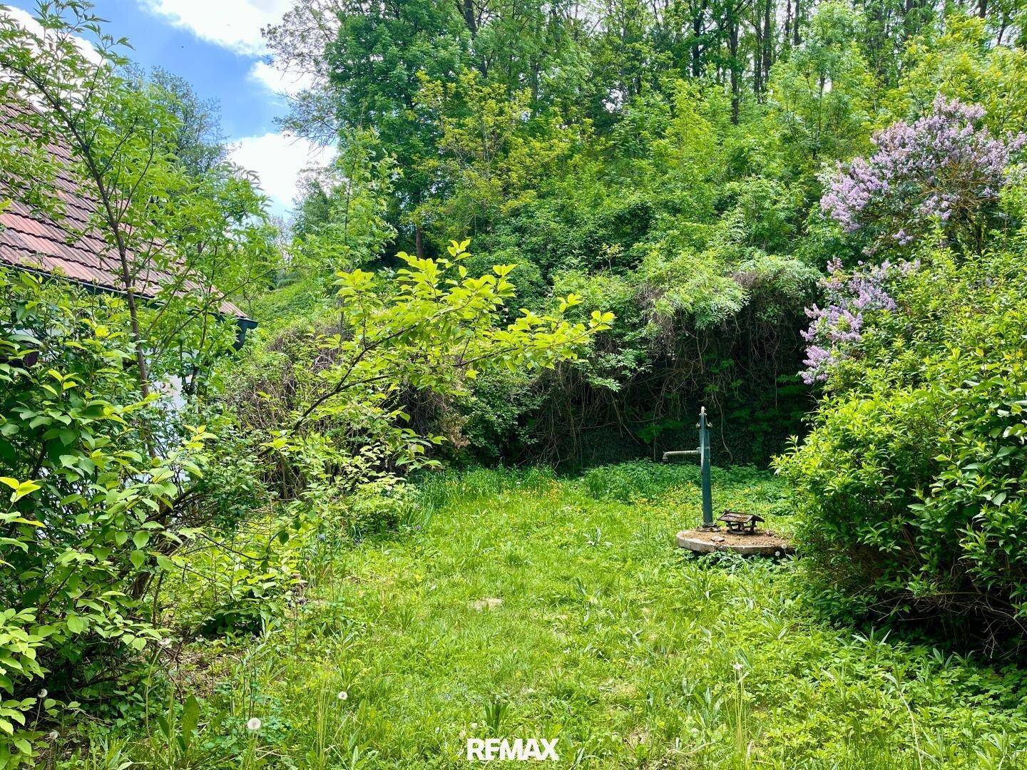 Wild bewachsener Gartenbereich mit einem alten Brunnen und üppiger Vegetation unter blauem Himmel.