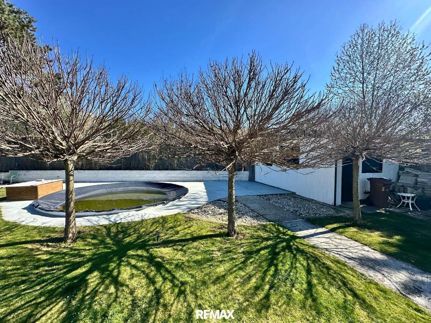Großer Gartenbereich mit Rasenfläche, kahlen Bäumen und einem abgedeckten Pool unter blauem Himmel.