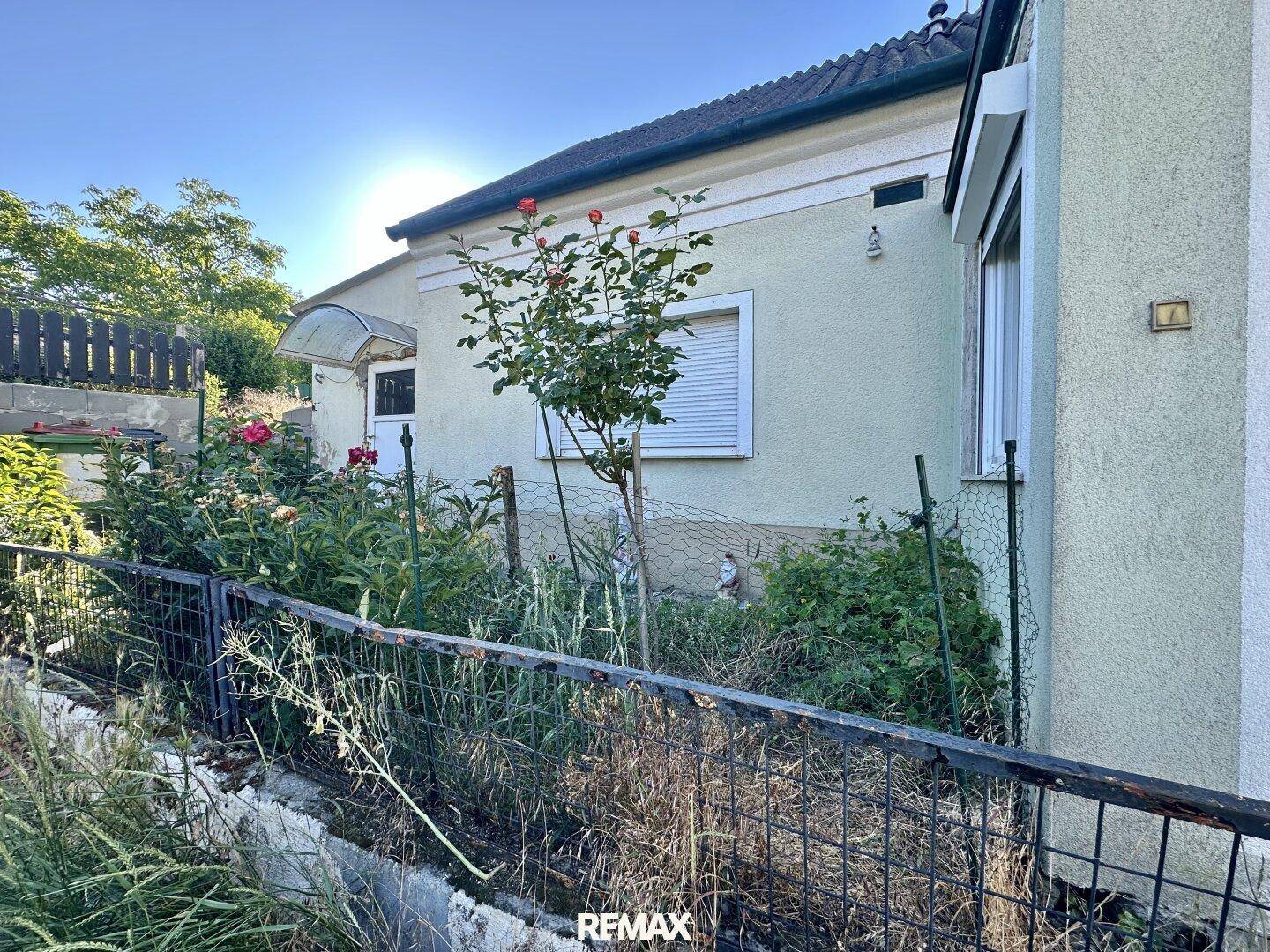Seitenansicht des Hauses mit einem verwilderten Gartenbereich und Rosensträuchern.