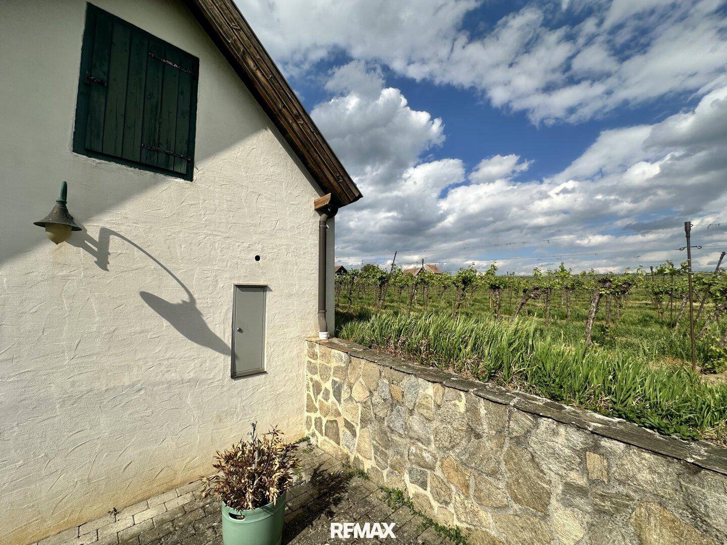 Rückseite des Gebäudes mit Blick auf den weitläufigen Weinberg unter einem bewölkten Himmel.