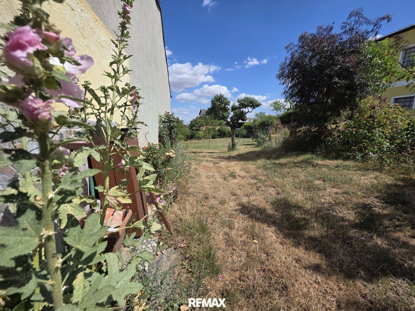 Ungepflegter Gartenbereich mit trockener Wiese, Blumen und Blick ins Grüne unter blauem Himmel.