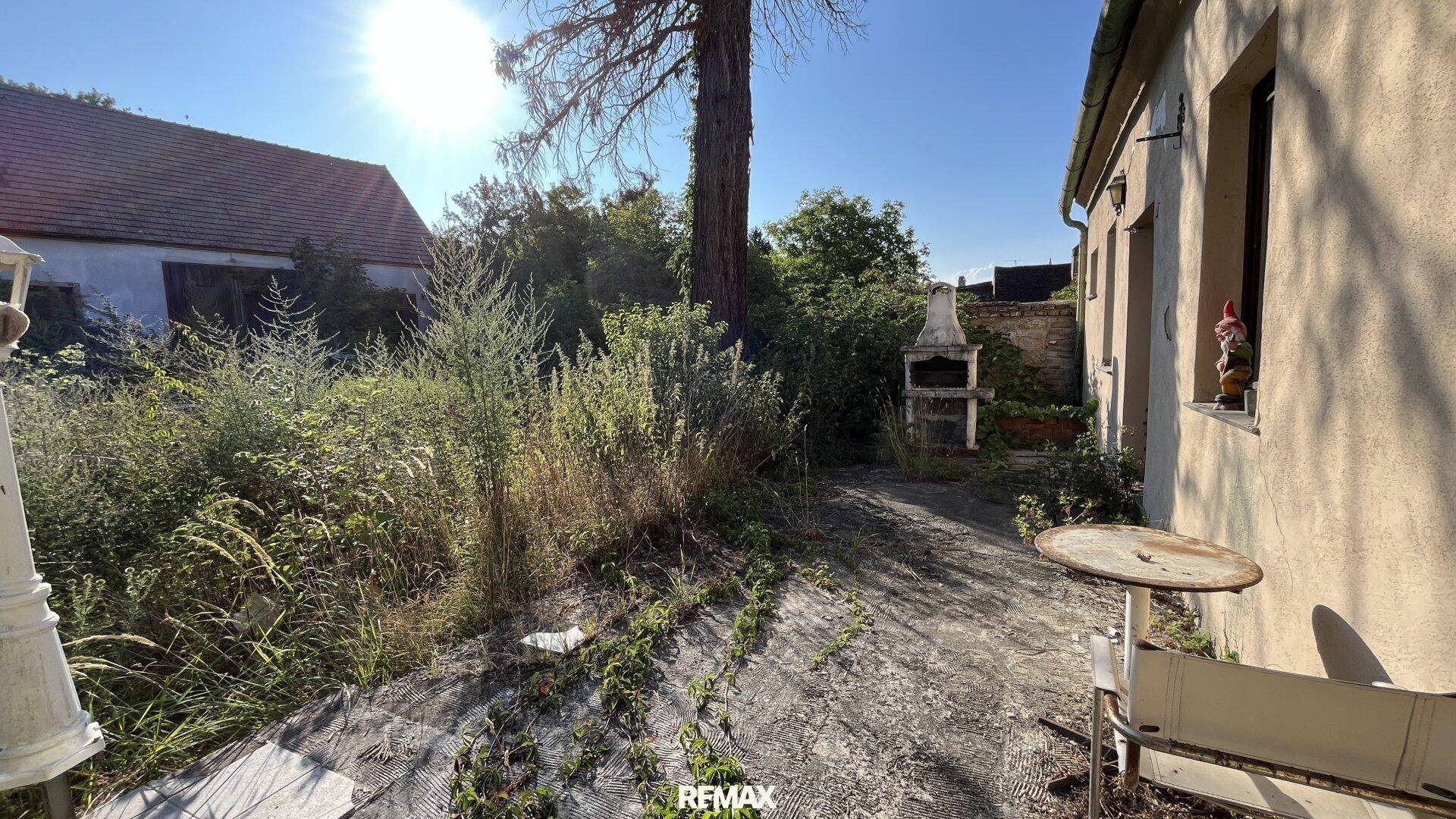 Verwilderter Gartenbereich mit altem Baumbestand, Grillplatz und einem Gartenzwerg am Fenster.