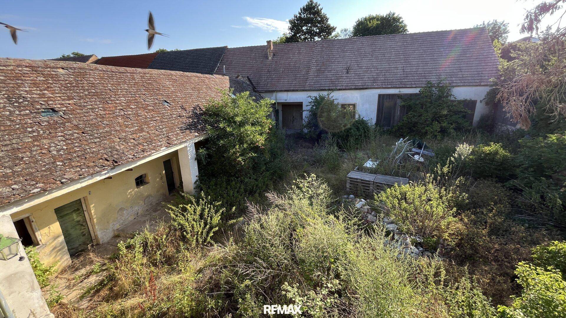 Rückansicht des Anwesens mit mehreren Gebäuden und einem stark verwilderten Gartenbereich.