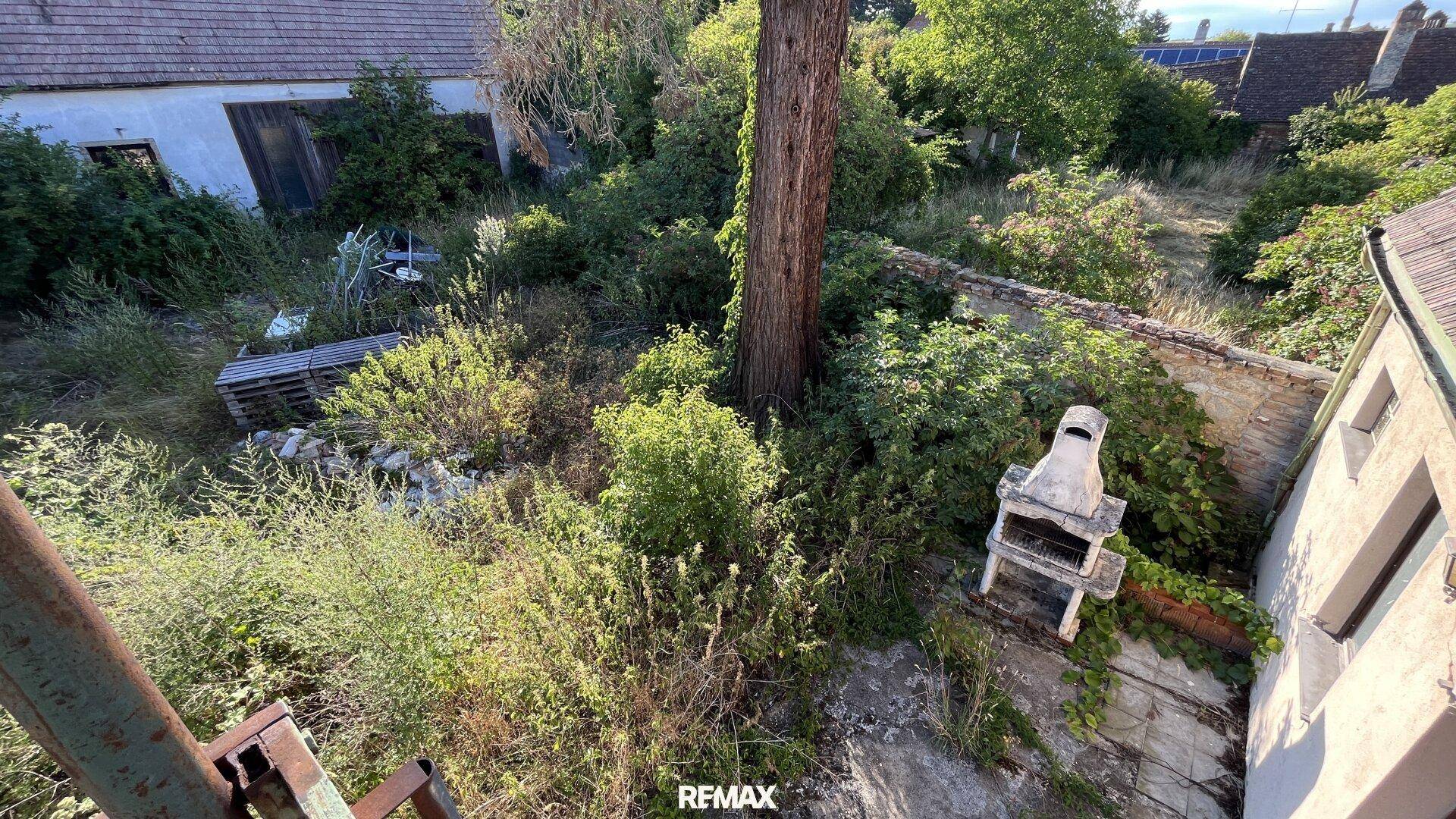 Stark bewachsener Gartenbereich mit altem Baumbestand und einem gemauerten Grillplatz.