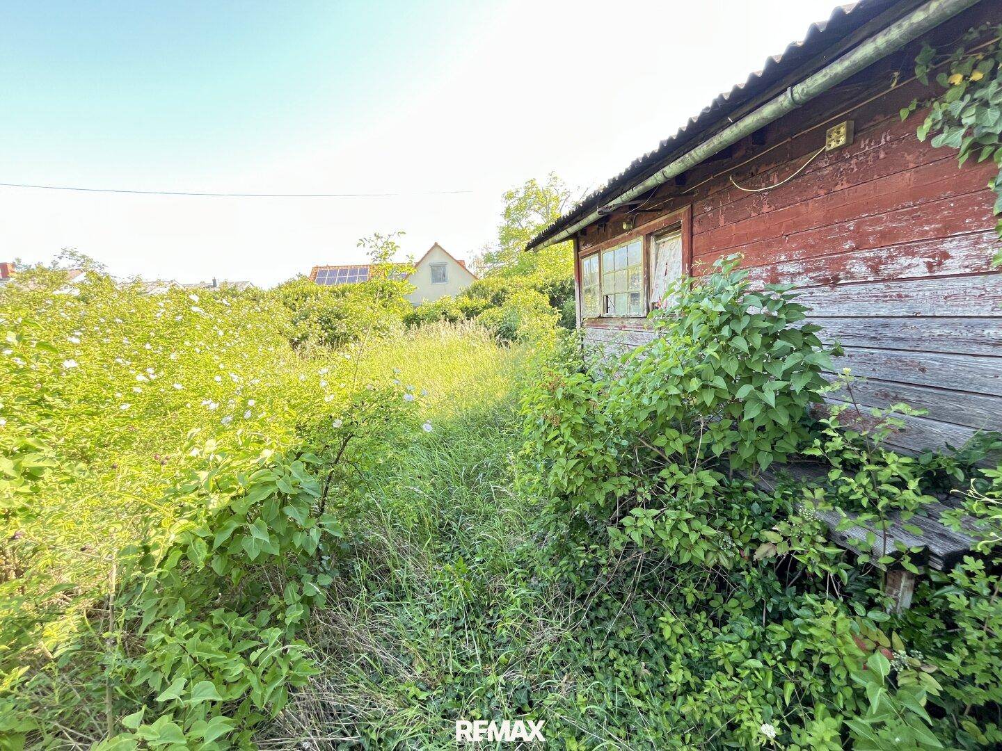 Seitenansicht des Holzschuppens, umgeben von dichtem Grün, mit einem weiteren Gebäude in der Ferne.