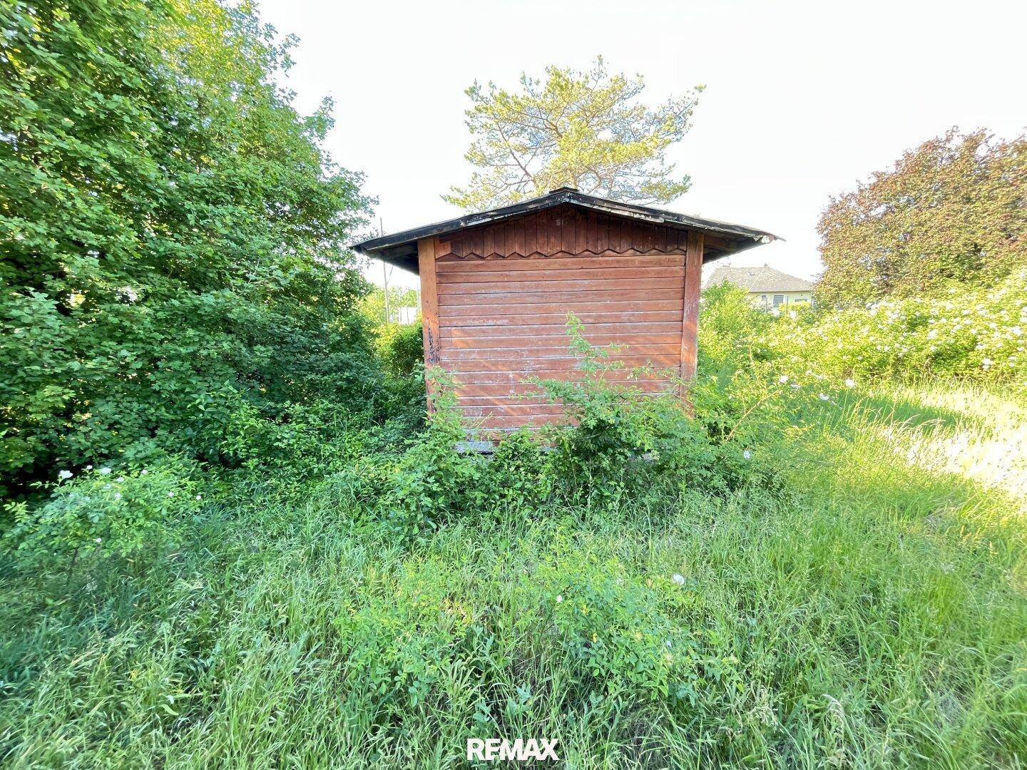 Ansicht des kleinen Holzschuppens von vorne, umgeben von üppigem Grün und hohen Gräsern.
