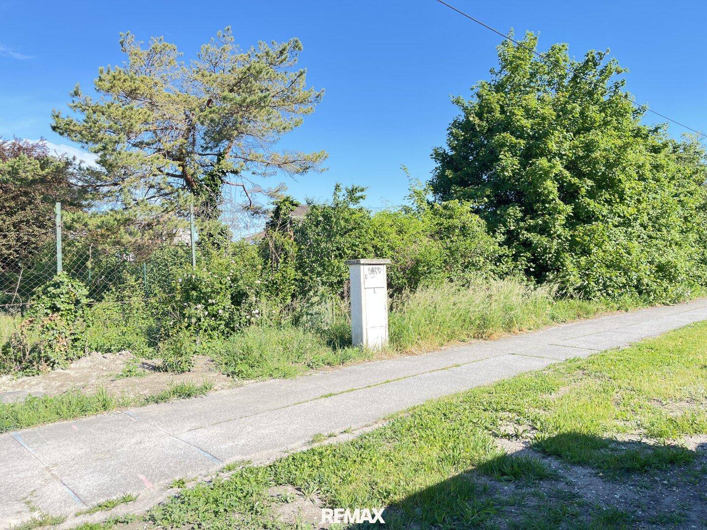 Ein schmaler Weg führt entlang eines verwilderten Grundstücks mit einem Stromkasten und Bäumen im Hintergrund.