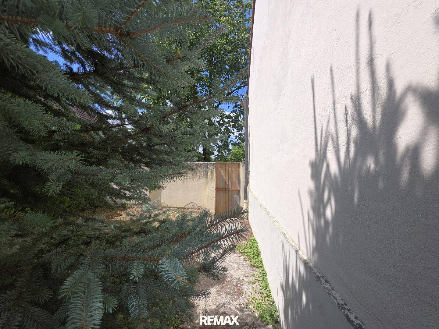 Schmaler Weg entlang der Hauswand mit Zaun und Nadelbäumen im Garten.