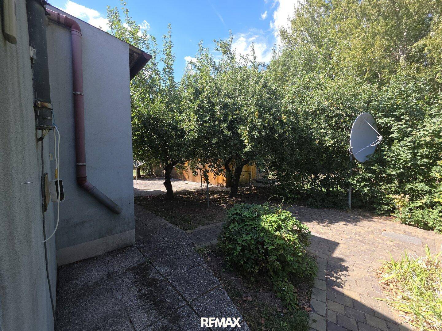 Gepflasterter Weg führt durch den Garten mit üppiger Vegetation und Bäumen.